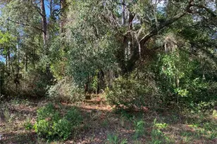 4081 W Findlay St, Citrus Springs, FL 34433 - Photo 2