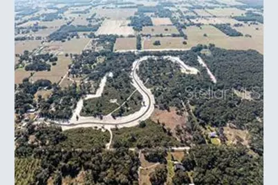 1485 Oxford Preserve Trail, Oxford, FL 34484 - Photo 8