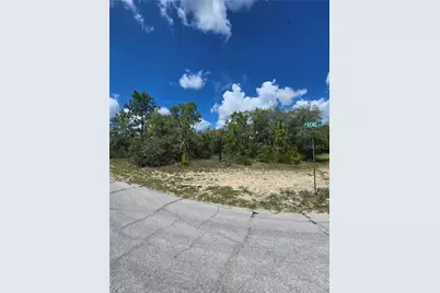 2942 W Dellwood Street, Dunnellon, FL 34433 - Photo 2