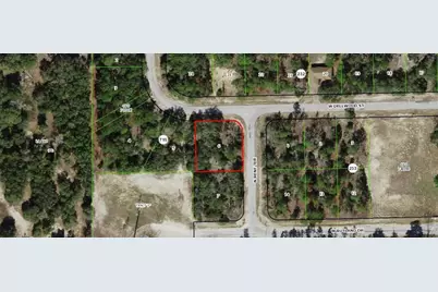 2942 W Dellwood Street, Dunnellon, FL 34433 - Photo 4