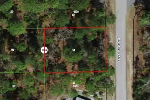 6536 N Springfield Terrace, Dunnellon, FL 34434 - Photo 1