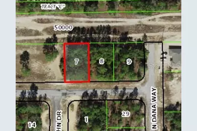 3131 W Wilhelm Street, Citrus Springs, FL 34433 - Photo 2