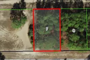 3131 W Wilhelm St, Citrus Springs, FL 34433 - Photo 1