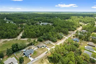 1619 W Lamplighter St, Dunnellon, FL 34434 - Photo 24