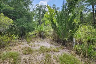 11335 N Ginny Lane Point, Inglis, FL 34449 - Photo 4