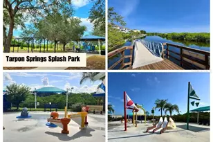 1650 Bold Ln, Holiday, FL 34691 - Photo 4