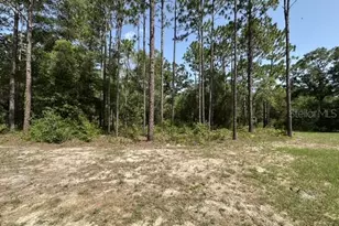 7576 N Heller Ave, Dunnellon, FL 34433 - Photo 22