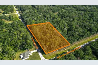 825 E Anton Drive, Citrus Springs, FL 34434 - Photo 1