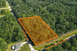 825 E Anton Dr, Citrus Springs, FL 34434 - Photo 1