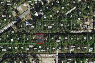 9712 W Pomelo Ln, Crystal River, FL 34428 - Photo 1