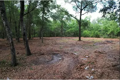 6777 N Castlebury Road, Hernando, FL 34442 - Photo 2