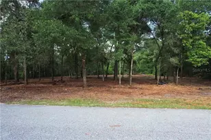 6777 N Castlebury Rd, Hernando, FL 34442 - Photo 1