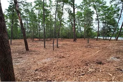 9530 N Timber Creek Terrace, Dunnellon, FL 34433 - Photo 2