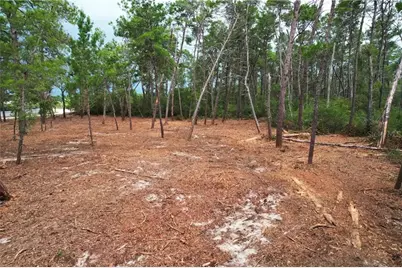 9530 N Timber Creek Terrace, Dunnellon, FL 34433 - Photo 6