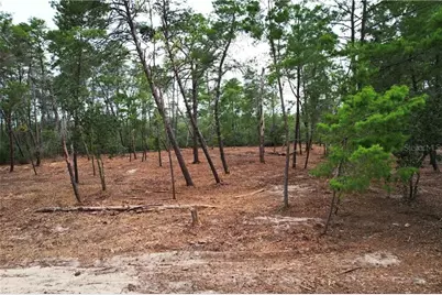 9530 N Timber Creek Terrace, Dunnellon, FL 34433 - Photo 4