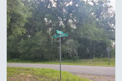 1823 E Derby Drive, Dunnellon, FL 34434 - Photo 2