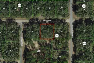 1823 E Derby Dr, Dunnellon, FL 34434 - Photo 1
