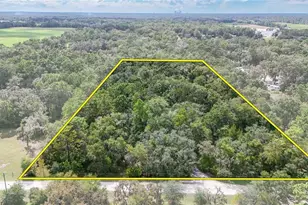 6594 N Gold Leaf Point, Dunnellon, FL 34433 - Photo 60