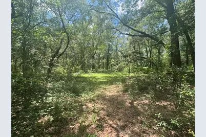 6594 N Gold Leaf Point, Dunnellon, FL 34433 - Photo 36