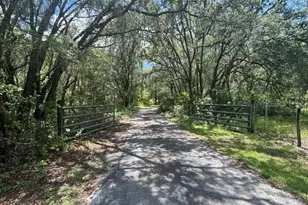 6594 N Gold Leaf Point, Dunnellon, FL 34433 - Photo 38