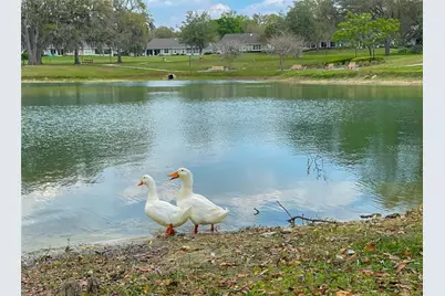 6293 W Glynborne Loop, Crystal River, FL 34429 - Photo 46