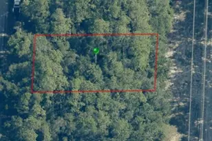 10305 N Allwood Terrace, Citrus Springs, FL 34434 - Photo 1
