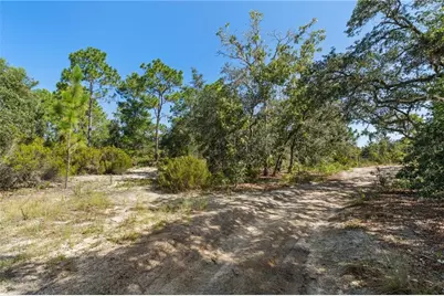 10806 N Statue Point, Dunnellon, FL 34433 - Photo 2
