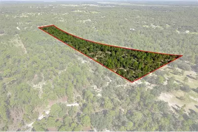 10806 N Statue Point, Dunnellon, FL 34433 - Photo 1