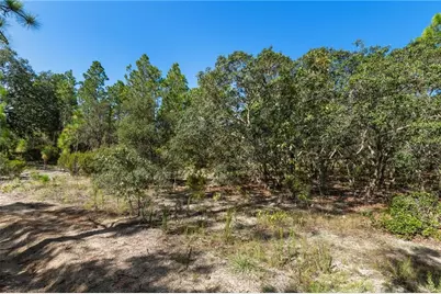 10806 N Statue Point, Dunnellon, FL 34433 - Photo 18