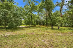 4734 S Slash Pine Ave, Homosassa, FL 34446 - Photo 2