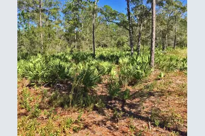 5323 S Monterey Way, Homosassa, FL 34448 - Photo 6