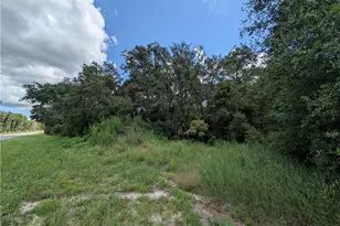 6451 N Carl G Rose Hwy, Hernando, FL 34442 - Photo 1