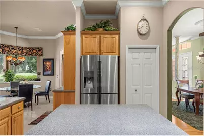 1611 N Dimaggio Path, Hernando, FL 34442 - Photo 24