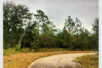Lot 18 Oslo Place, Chipley, FL 32428 - Photo 4