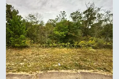 Lot 18 Oslo Place, Chipley, FL 32428 - Photo 2