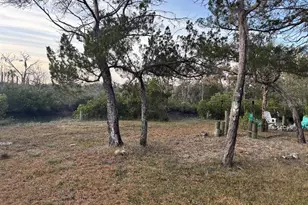 1126 S Urchin Point, Crystal River, FL 34429 - Photo 12