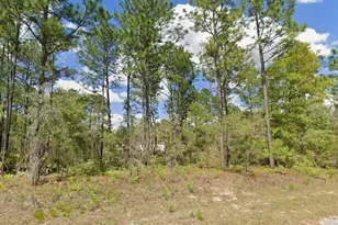 2175 W Galaxy Ln, Dunnellon, FL 34434 - Photo 1