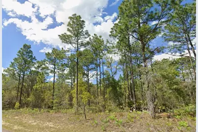 2193 W Galaxy Lane, Dunnellon, FL 34434 - Photo 1