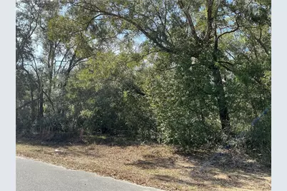 1534 W Magenta Drive, Citrus Springs, FL 34434 - Photo 2