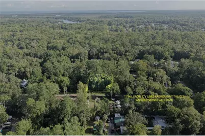 0 Gobbler Road, Astor, FL 32102 - Photo 10