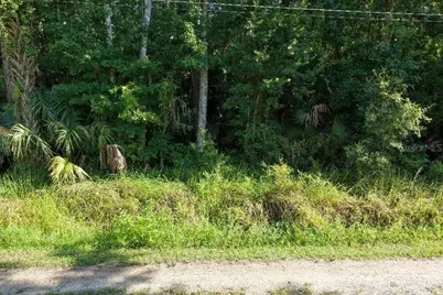 0 Gobbler Road, Astor, FL 32102 - Photo 14