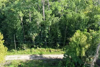 0 Gobbler Road, Astor, FL 32102 - Photo 20