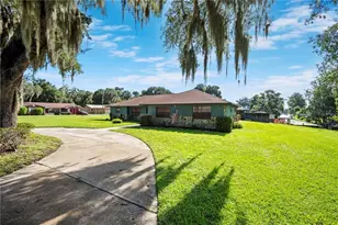 1351 Cr 482N, Lake Panasoffkee, FL 33538 - Photo 2