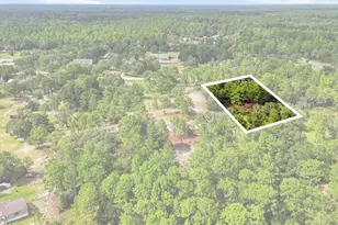 7410 W Newcastle Ct, Dunnellon, FL 34433 - Photo 58