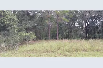 1623 E Ivydale Drive, Dunnellon, FL 34434 - Photo 2