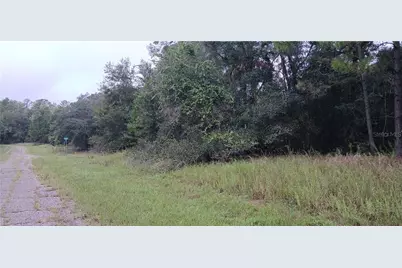 1623 E Ivydale Drive, Dunnellon, FL 34434 - Photo 4