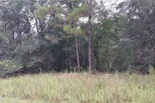 1623 E Ivydale Dr, Dunnellon, FL 34434 - Photo 1