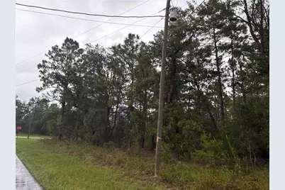 7351 N Waycross Way, Citrus Springs, FL 34433 - Photo 2