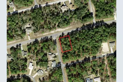 7351 N Waycross Way, Citrus Springs, FL 34433 - Photo 6