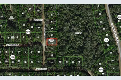 9409 N Agar Terrace, Citrus Springs, FL 34434 - Photo 4